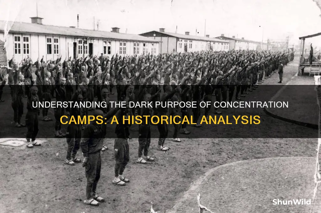 what is the point of a concentration camp