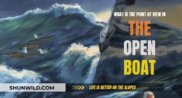 The Open Boat: Exploring POV in Stephen Crane's Tale