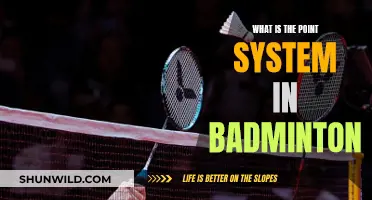 Understanding Badminton's Point System