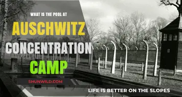 The Haunting Truth About Auschwitz's Infamous Pool