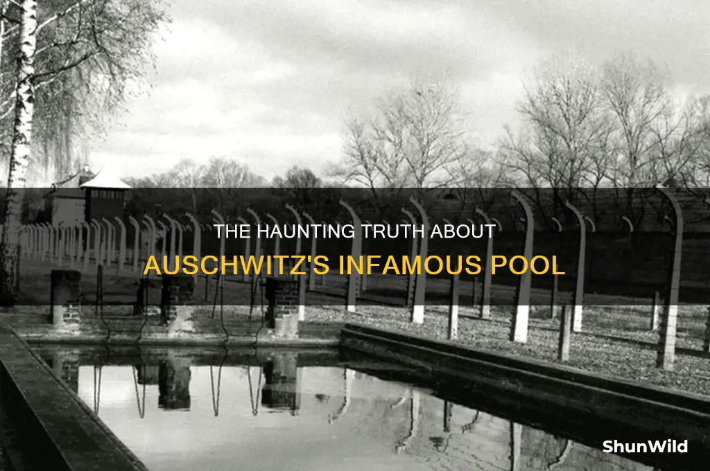 what is the pool at auschwitz concentration camp