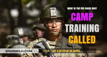 Unveiling the Pre-Basic Boot Camp Training: What's It Called?