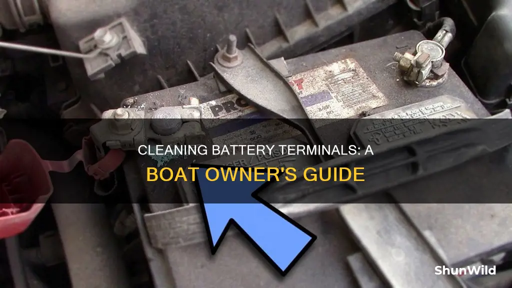 what is the proper procedure for cleaning battery terminals boat