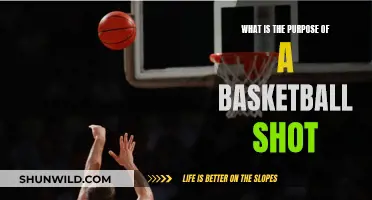 Basketball Shot Mechanics: Mastering the Art of Scoring