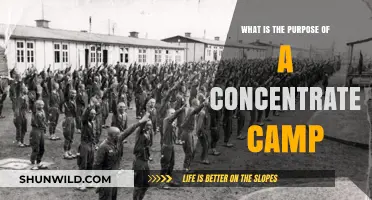 Concentration Camps: Origins, Purpose, and Historical Impact Explained