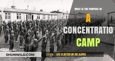 Understanding the Dark Purpose of Concentration Camps: A Historical Analysis