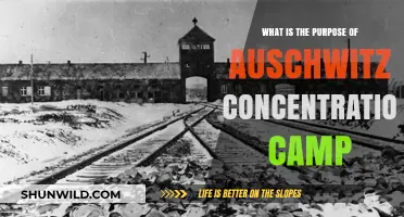Understanding Auschwitz: The Dark Purpose of a Nazi Concentration Camp