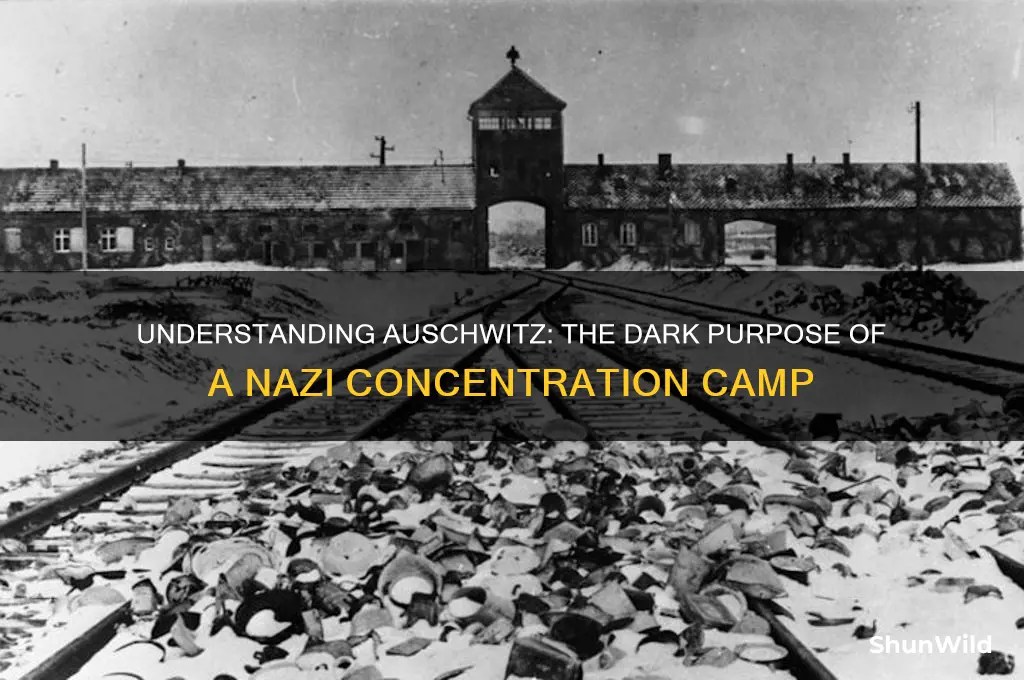 what is the purpose of auschwitz concentration camp