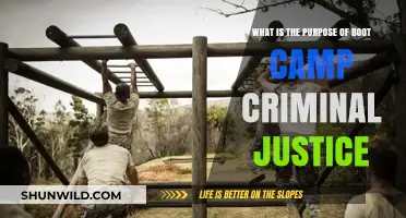 Understanding the Role of Boot Camp in Criminal Justice Reform