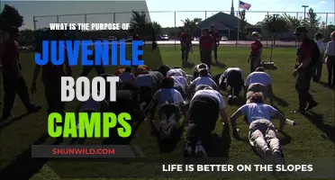 Juvenile Boot Camps: Purpose, Effectiveness, and Impact on Youth Rehabilitation