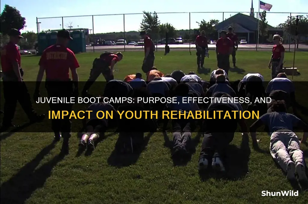 what is the purpose of juvenile boot camps