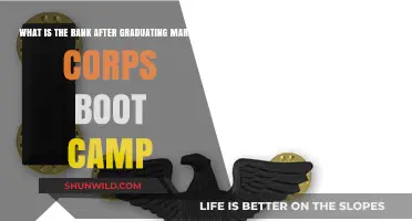 Marine Corps Boot Camp Graduation: Understanding Your New Rank and Role