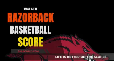 Razorbacks' Basketball Scores: A Comprehensive Overview