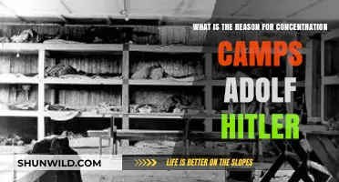 Hitler's Concentration Camps: Uncovering the Dark Reasons Behind Their Creation