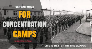 Understanding the Dark History and Purpose of Concentration Camps