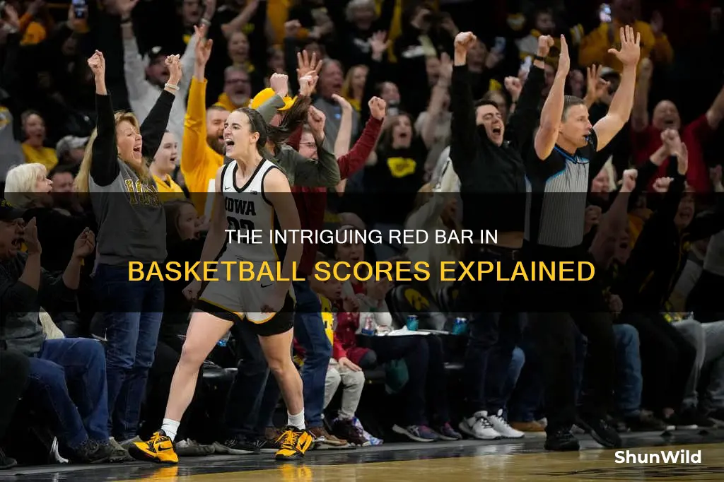 what is the red bar below the basketball score
