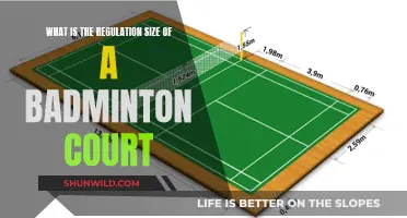 Badminton Court Regulation Size: Know the Standard Dimensions