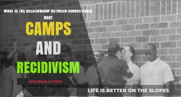 Correctional Boot Camps and Recidivism: Exploring the Impact on Reoffending