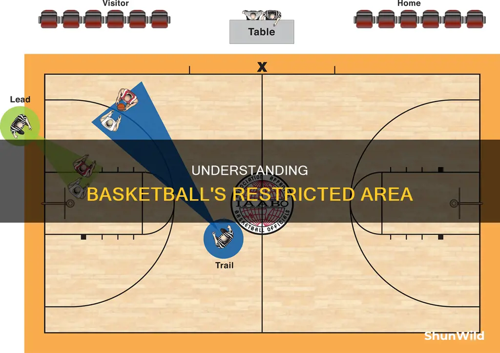 what is the restricted area in basketball