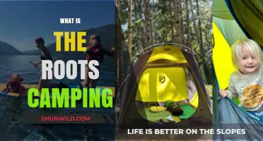 Exploring the Origins and Essentials of Roots Camping