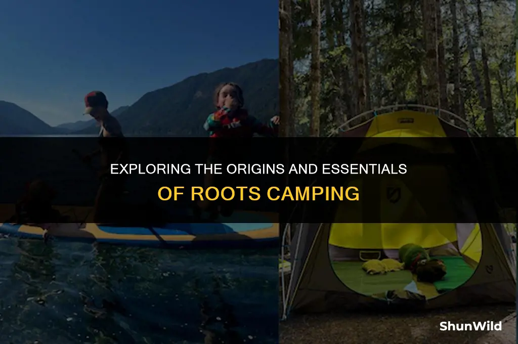 what is the roots camping