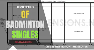 Badminton Singles: Rules for Victory