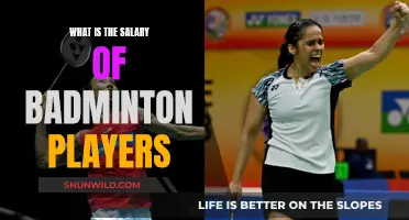 Lucrative Earnings of Badminton Athletes