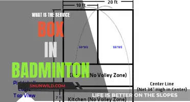 Badminton Service Box: Understanding the Basics