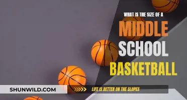 Basketball Standards: Middle School Size Guide