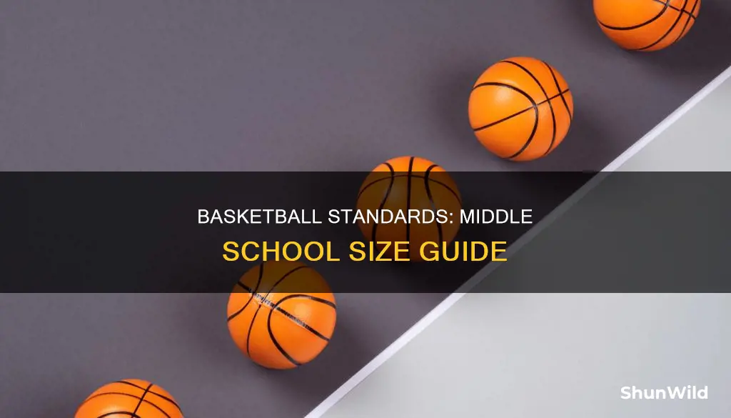 what is the size of a middle school basketball