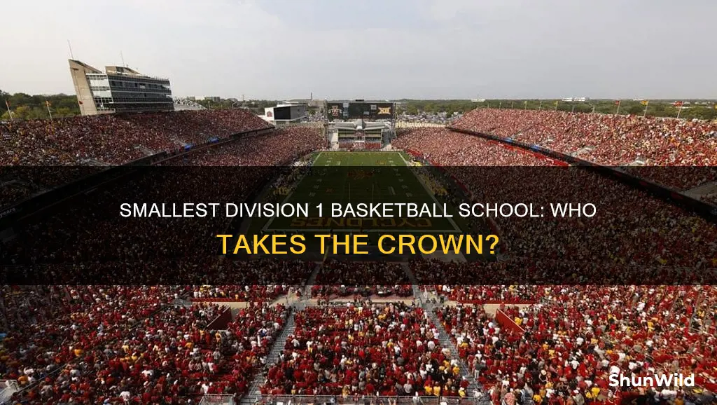 what is the smallest division 1 basketball school