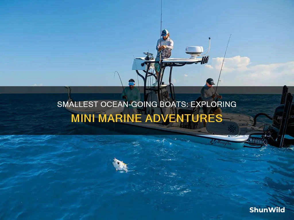 what is the smallest ocean going boat