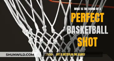 The Sweetest Sound: Basketball's Perfect Swish