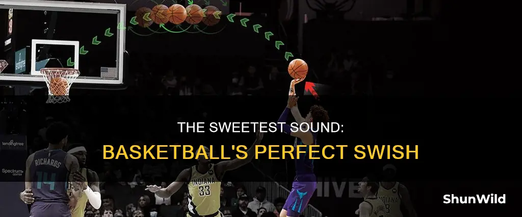 what is the sound of a perfect basketball shot