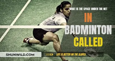 The Space Under the Badminton Net: What's It Called?