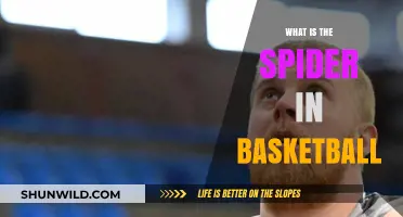 The Spider Web: Basketball's Ultimate Defensive Strategy