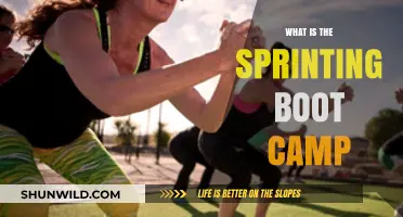 Sprinting Boot Camp: Transform Your Speed and Fitness in Weeks