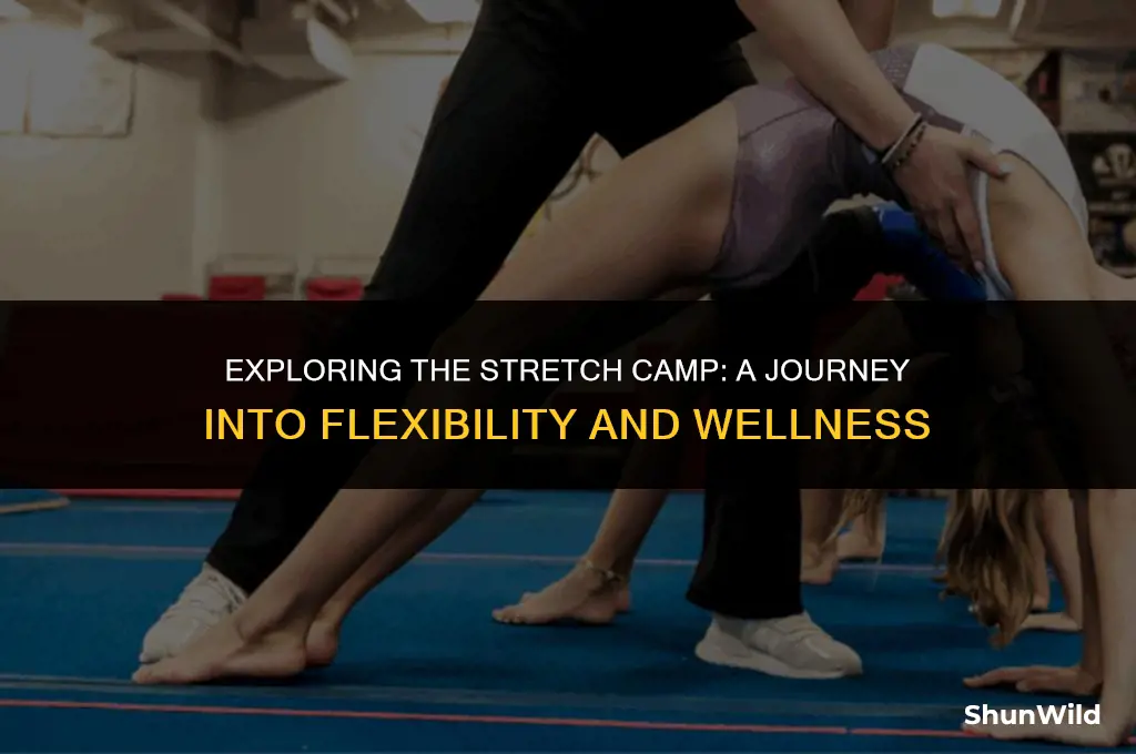 what is the stretch camp