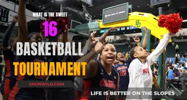 The Sweet 16 Basketball Tournament: A March Madness Tradition