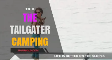 Exploring the Great Outdoors: A Beginner's Guide to Tailgater Camping