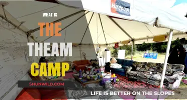 Exploring the Theam Camp: A Journey into Community and Learning