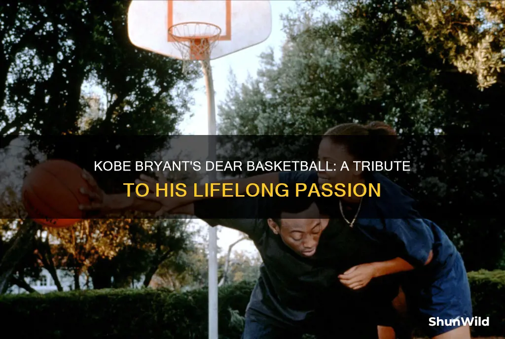 what is the theme of dear basketball by kobe bryant