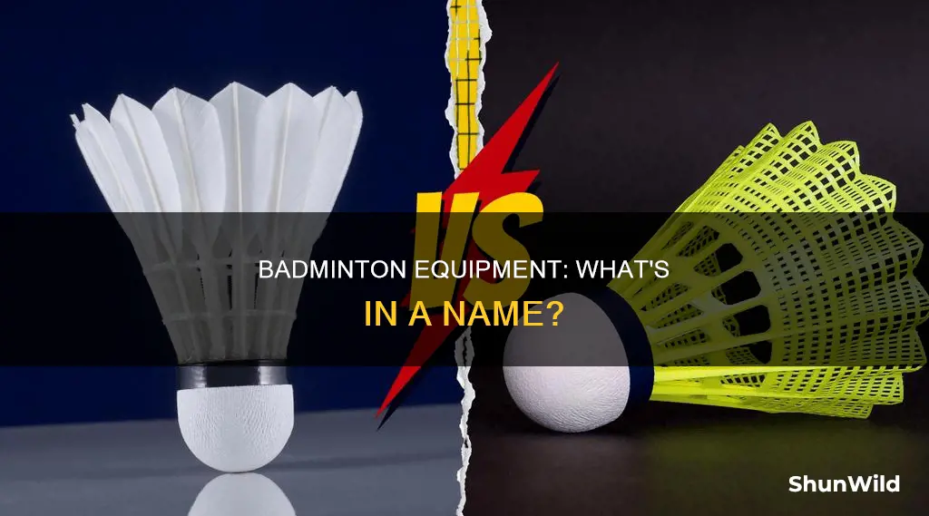 what is the thing called in badminton