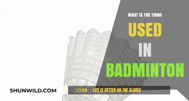 Badminton Essentials: Rackets, Shuttlecocks, and Net