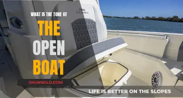 The Open Boat: Analyzing the Story's Tone and Mood