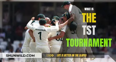 The TST Tournament: Cricket's Rising Star