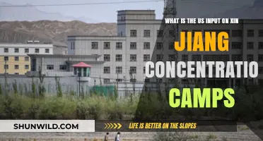 US Response to Xinjiang Camps: Policies, Actions, and Global Impact