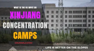 US Response to Xinjiang Camps: Human Rights Concerns and Actions