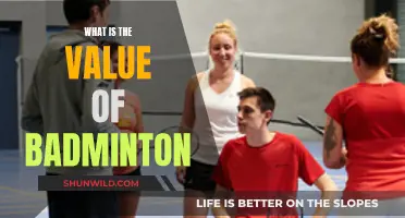 Badminton: A Sport of Speed and Strategy