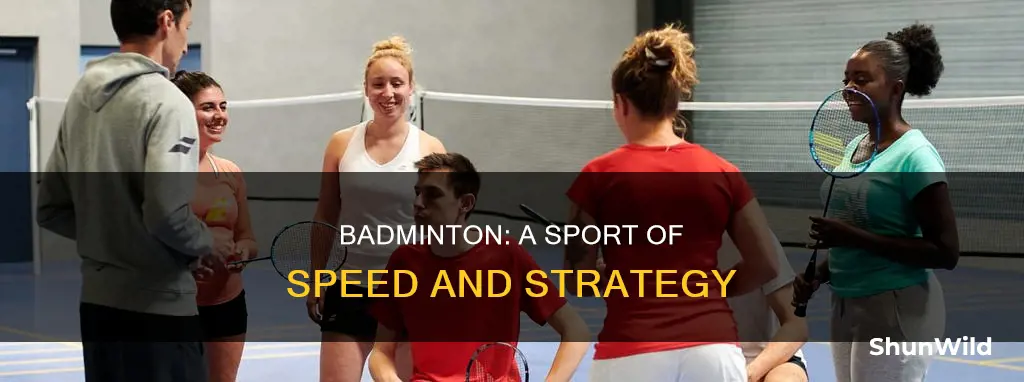 what is the value of badminton